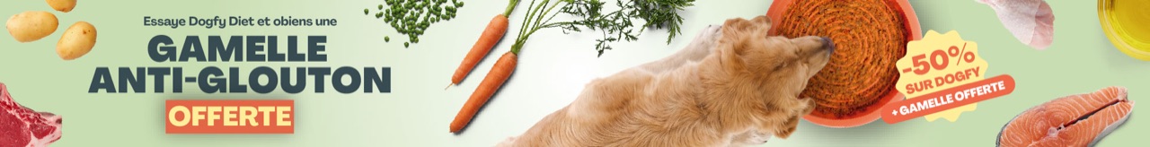 Dogfy Diet : -50 % et gamelle offerte