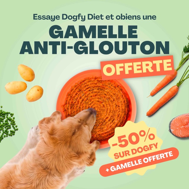 Dogfy Diet : -50 % et gamelle anti-glouton offerte