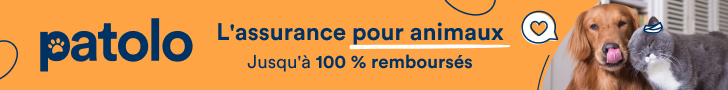 Assurance chien patolo : 1 mois offert