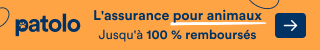 Assurance chien patolo : 1 mois offert
