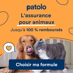 patolo : assurance santé chien, 1er mois offert