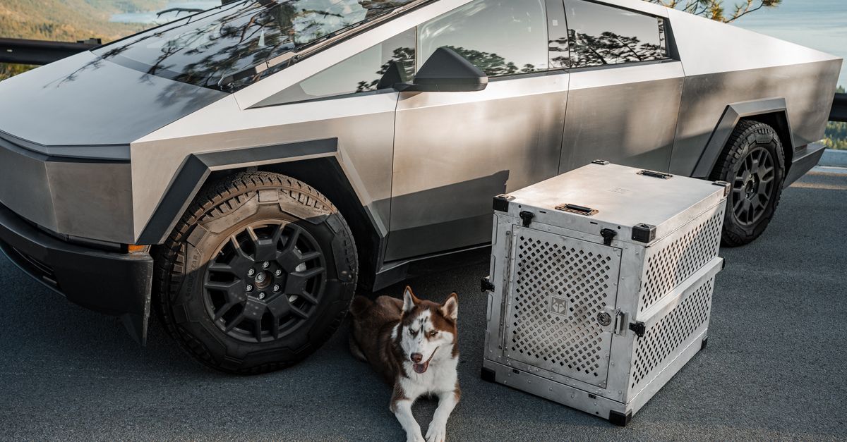 Husky couché sur le bitume à côté d'une caisse de transport en aluminium ajourée, devant une voiture