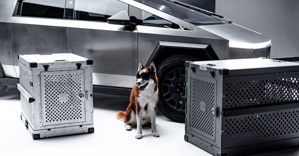 Cage de voiture pour chien : bien choisir sa cage de coffre