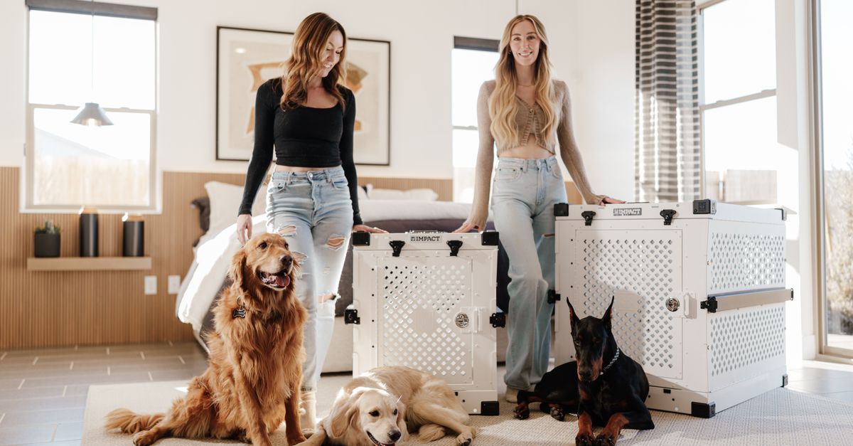 Deux golden retrievers et un dobermann couchés près de deux caisses de transport blanches ajourées