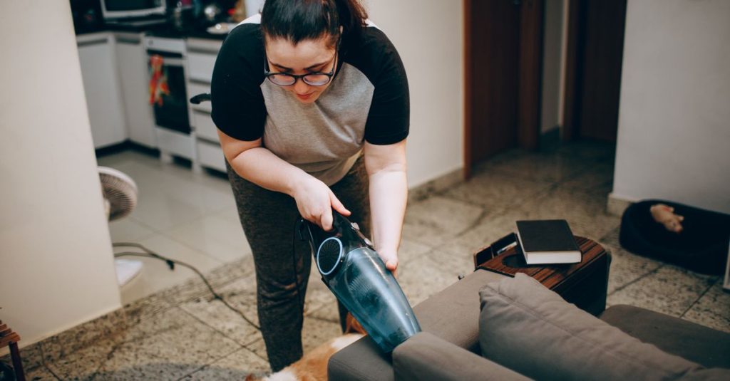 Nettoyeur de tapis et canapé : enlever poils, taches et odeurs de chien