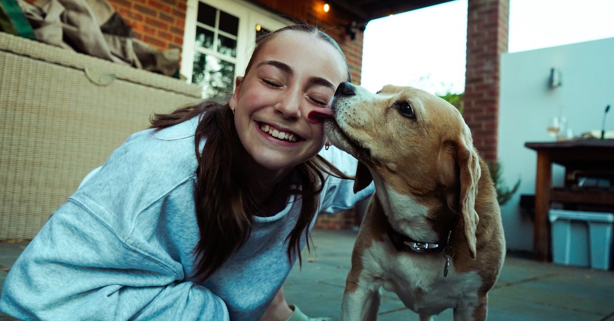 pourquoi votre chien vous lèche-t-il ? découvrez les raisons de ce comportement, de l’affection à la communication, et apprenez quand il faut s’en préoccuper.