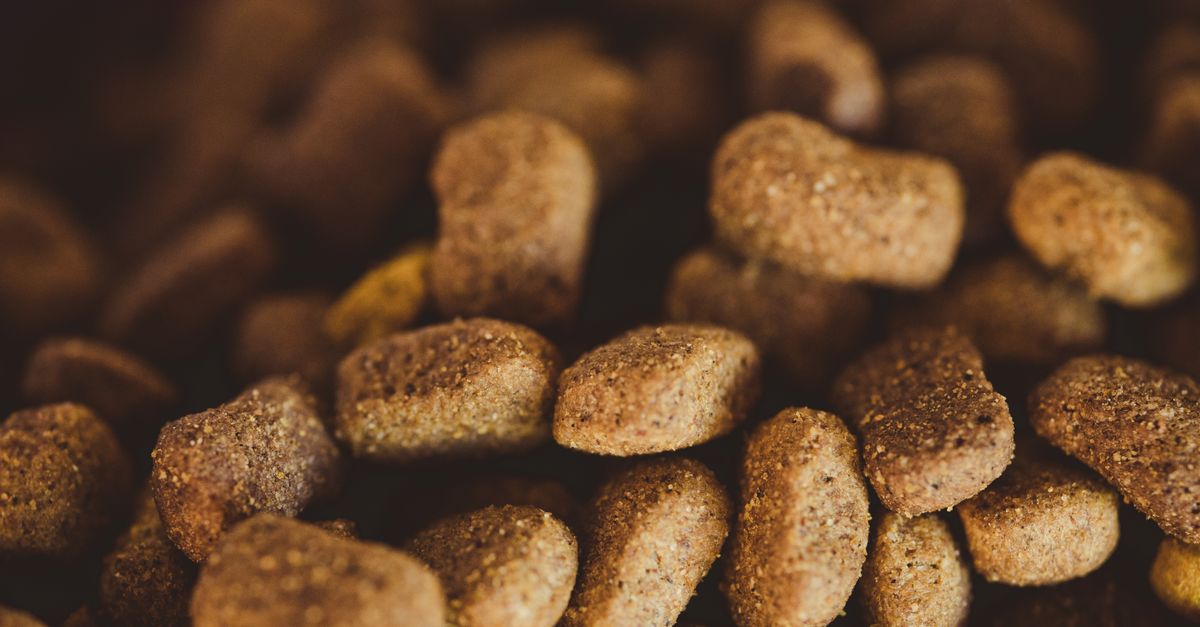 Bosch vs Hill's aliments riches en protéines pour chien : quelle marque privilégier