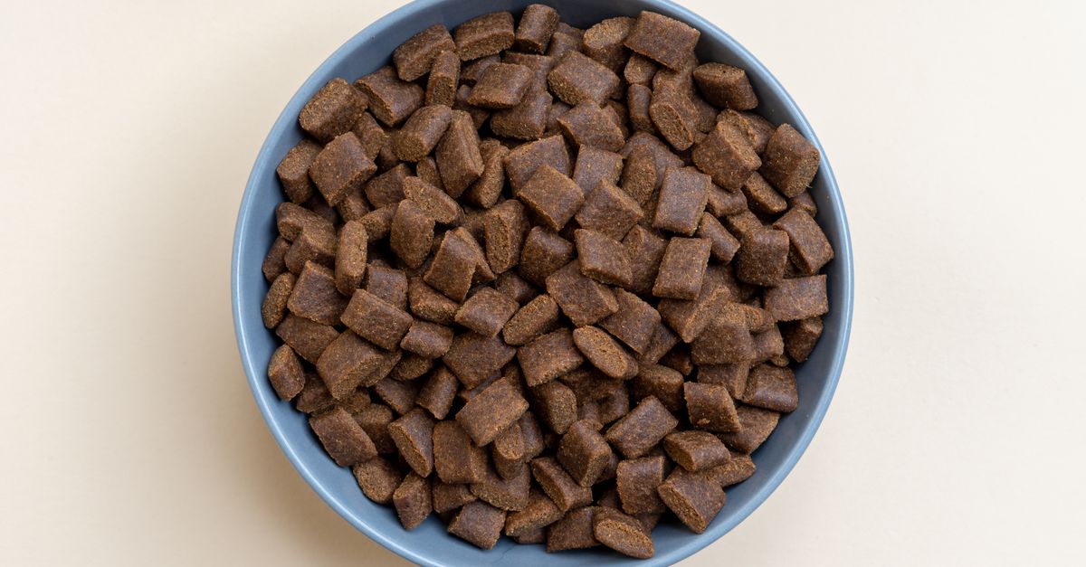 Eukanuba vs Pedigree avantages des gammes premium pour chien