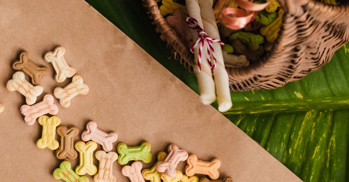 Treat Happiness vs Jerky’s Guide comparatif des friandises naturelles pour chien
