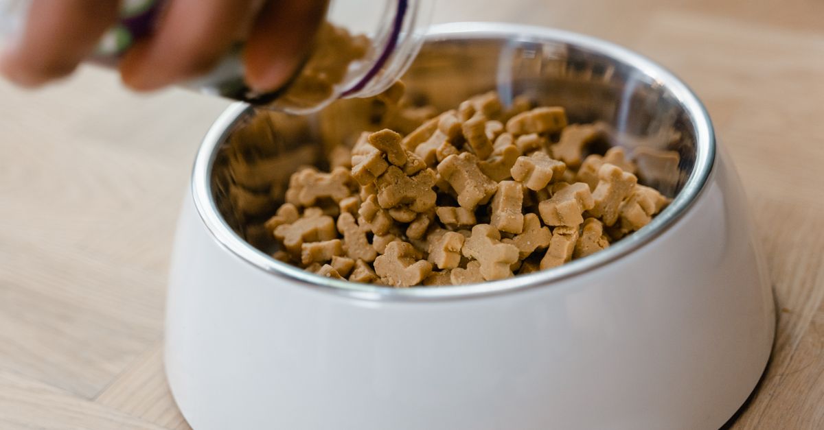 Jerky's vs Canagan friandises naturelles pour chien versus snacks industriels