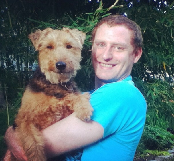 Welsh Terrier — photo de la race de chien originaire de pays de Galles (5)
