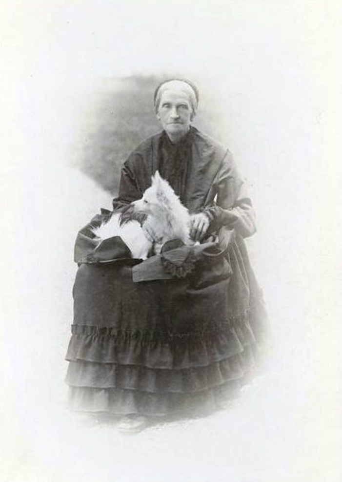Spitz allemand — photo de la race de chien originaire de Allemagne (2)