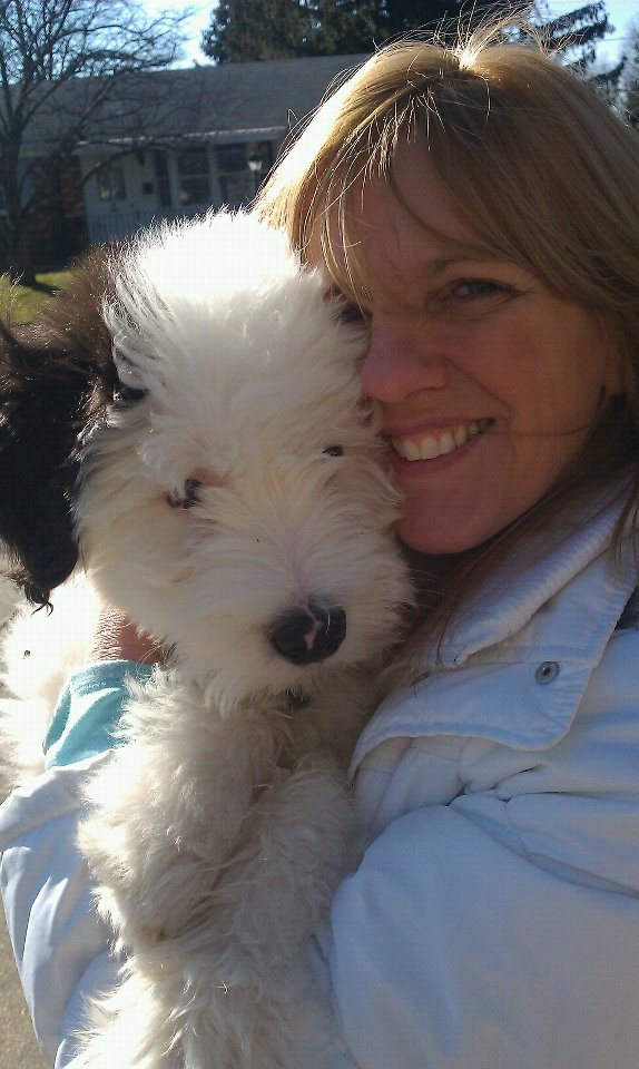 Bobtail — photo de la race de chien originaire de Angleterre (4)