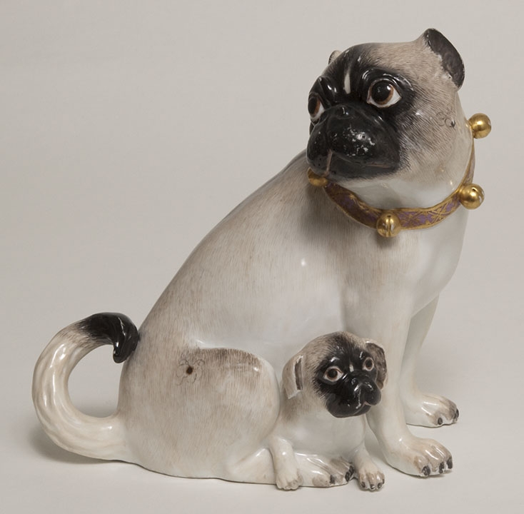 Porcelaine — photo de la race de chien originaire de France (1)