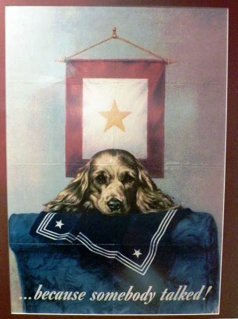 Cocker américain — photo de la race de chien originaire de États-Unis (5)