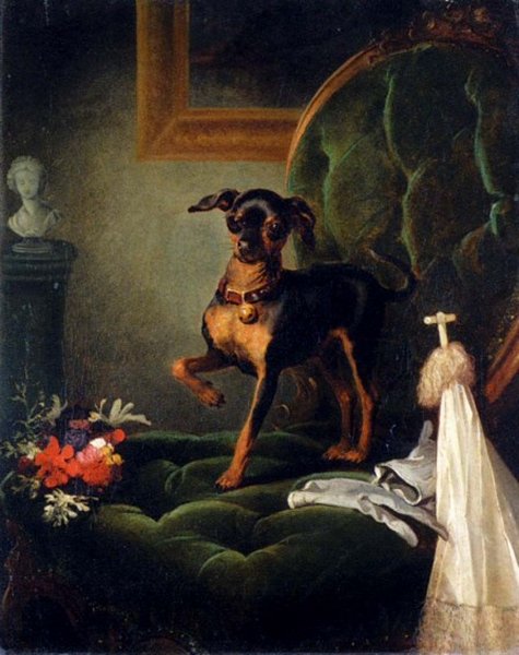Ratier de Prague — photo de la race de chien originaire de Tchéquie (3)