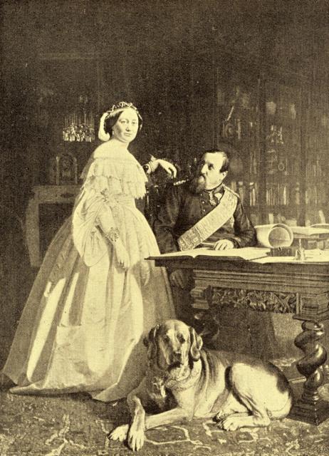 Broholmer — photo de la race de chien originaire de Danemark (1)