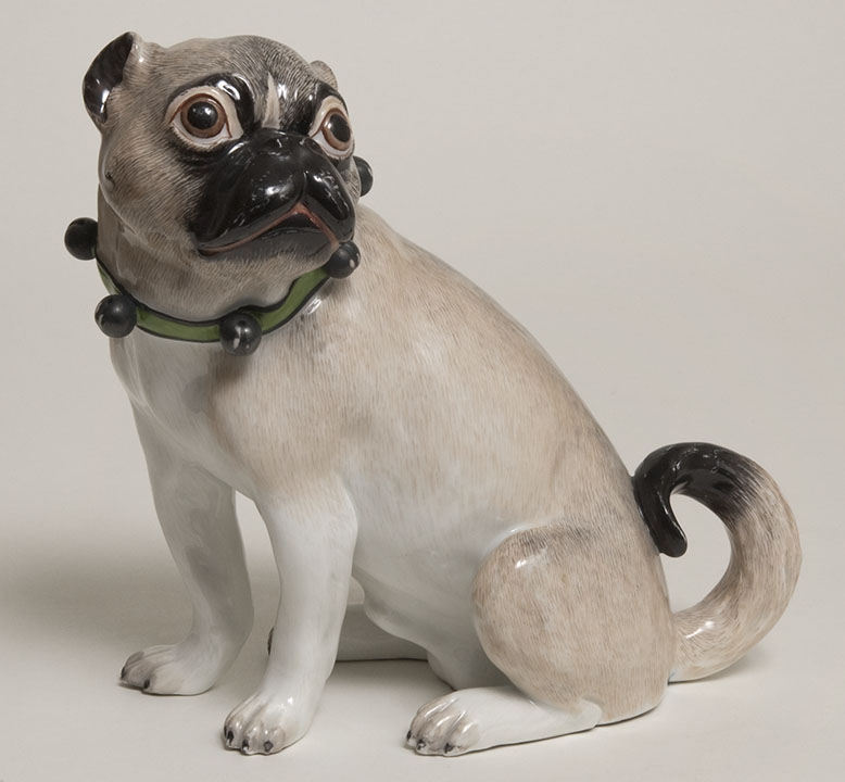 Porcelaine — photo de la race de chien originaire de France (2)