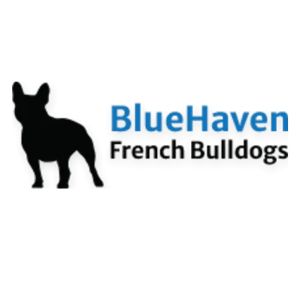 Billy — photo de la race de chien originaire de France (4)