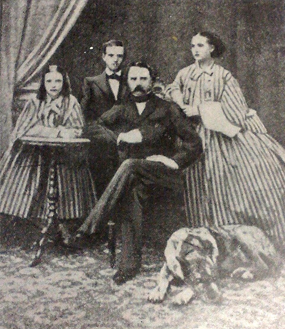 Dogue allemand — photo de la race de chien originaire de Allemagne (2)