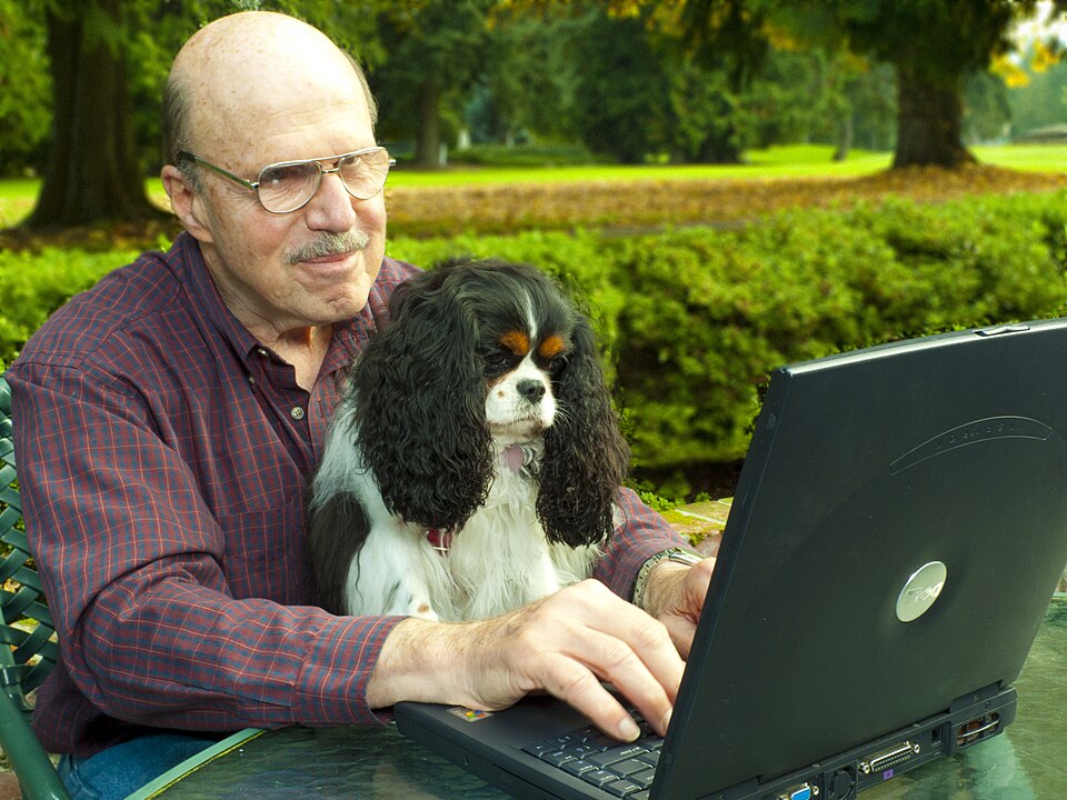 Cavalier King Charles — photo de la race de chien originaire de Royaume-Uni (5)