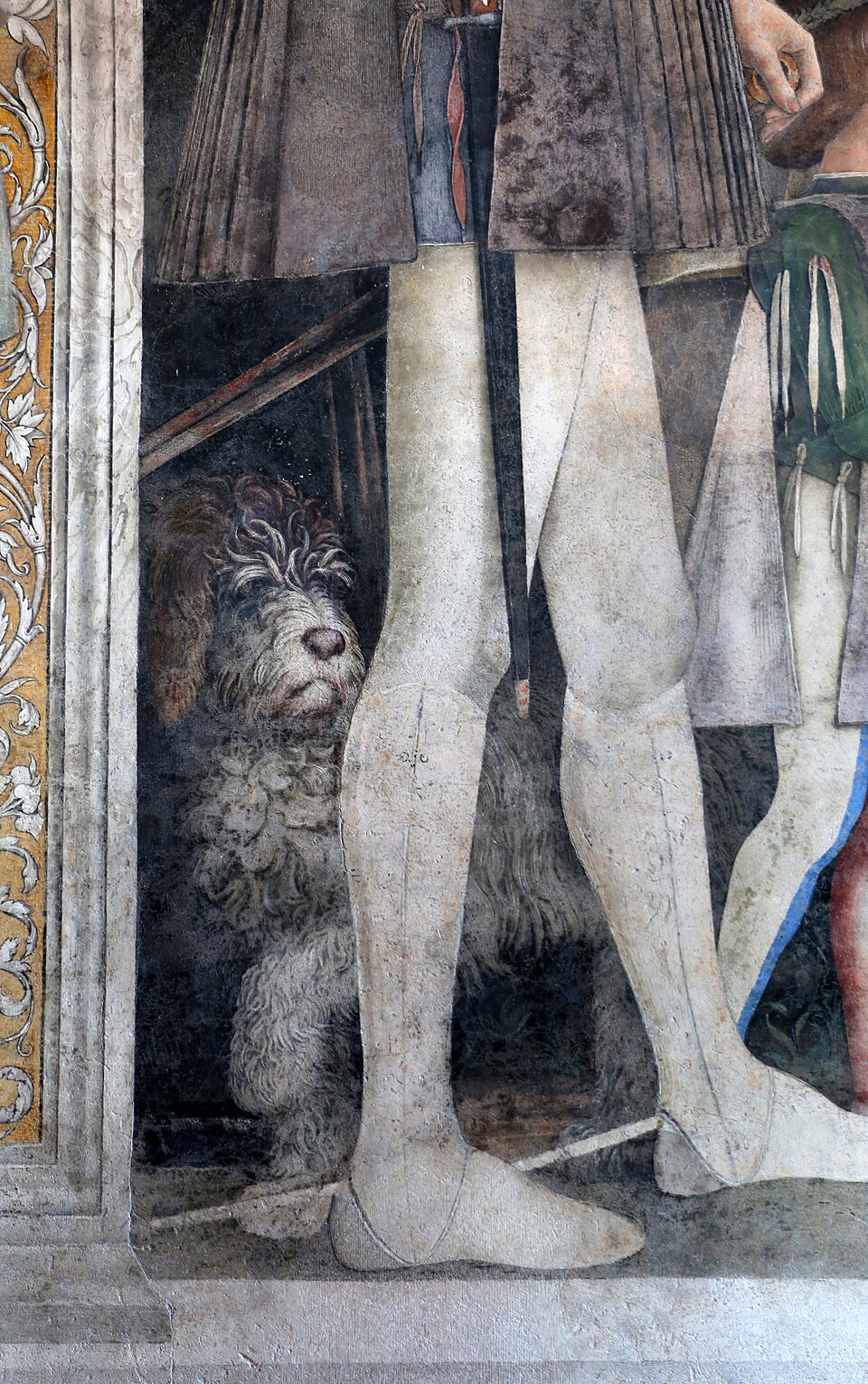 Chien d’eau portugais — photo de la race de chien originaire de Italie (6)