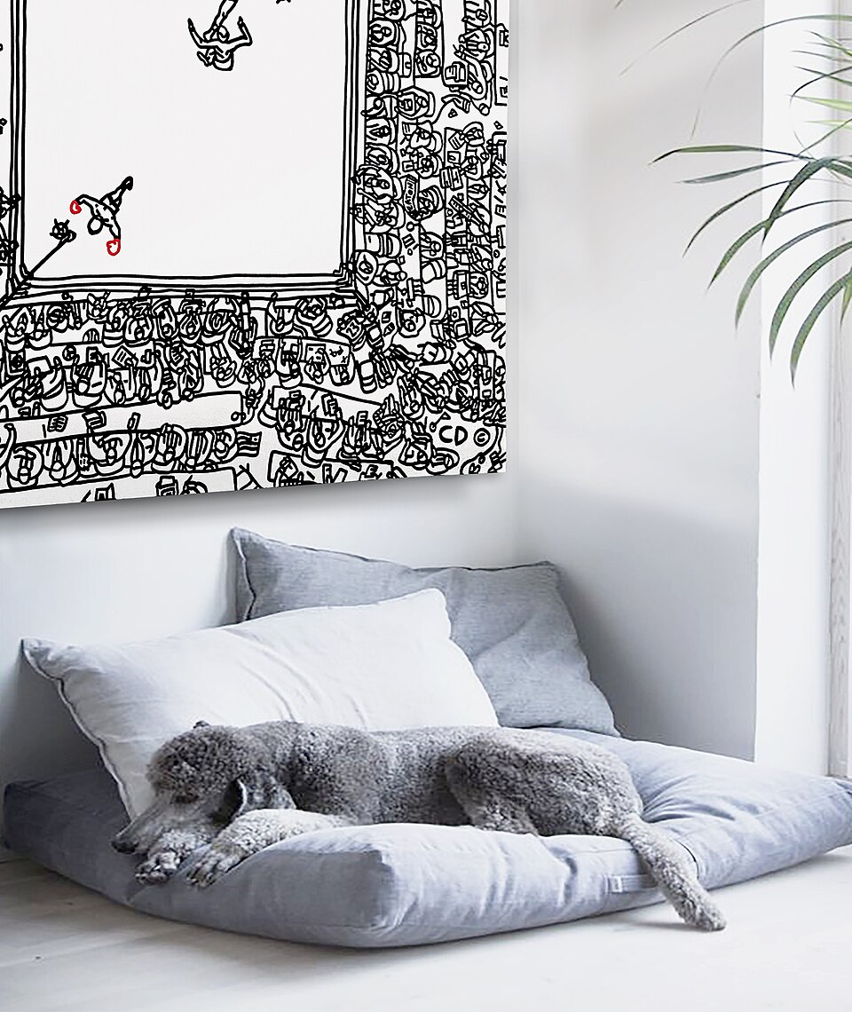 Caniche — photo de la race de chien originaire de France, Allemagne (3)