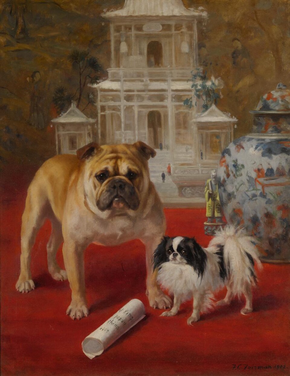 Epagneul japonais — photo de la race de chien originaire de Japon (6)