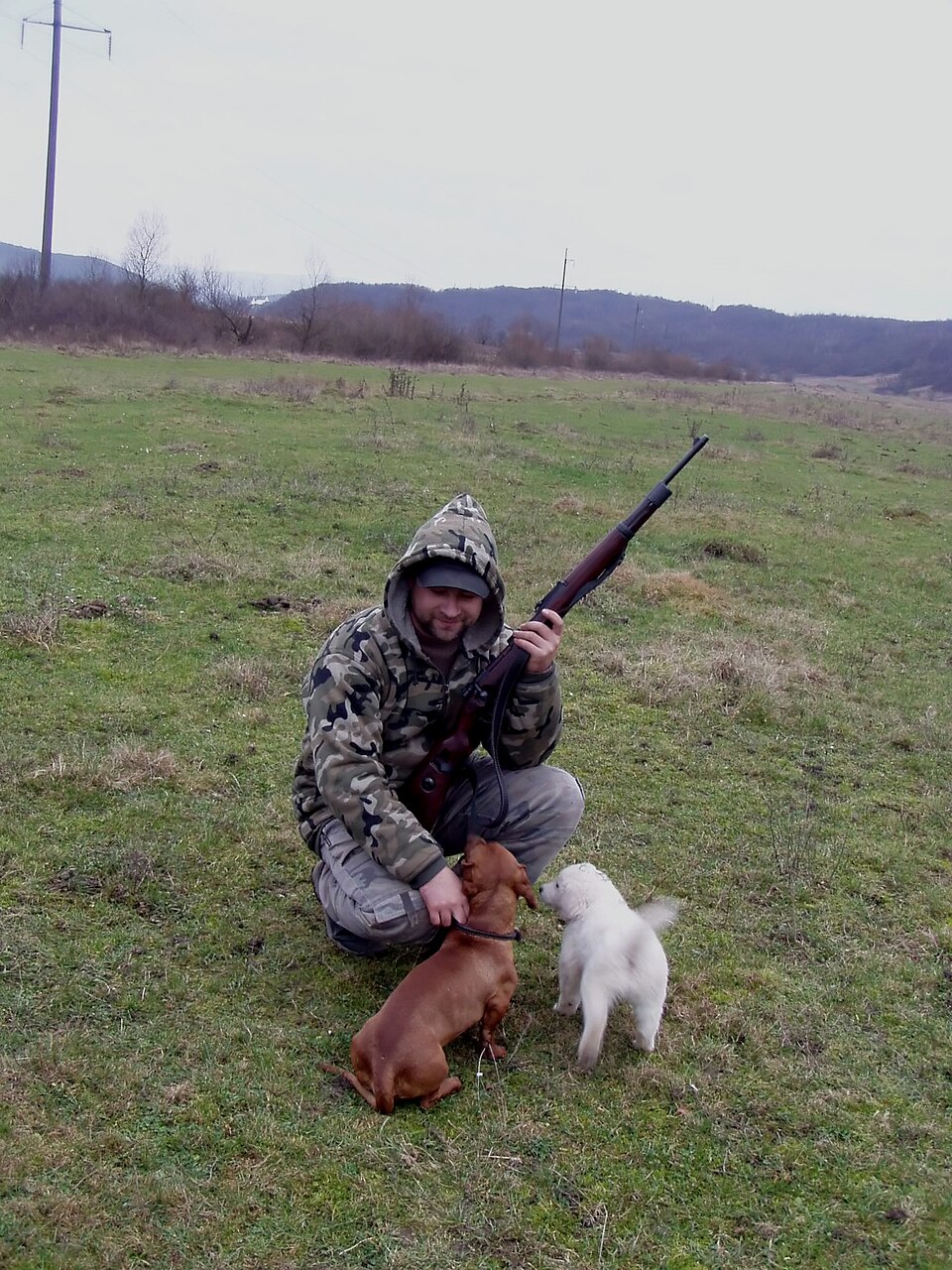 Berger polonais de Podhale — photo de la race de chien originaire de Pologne (6)