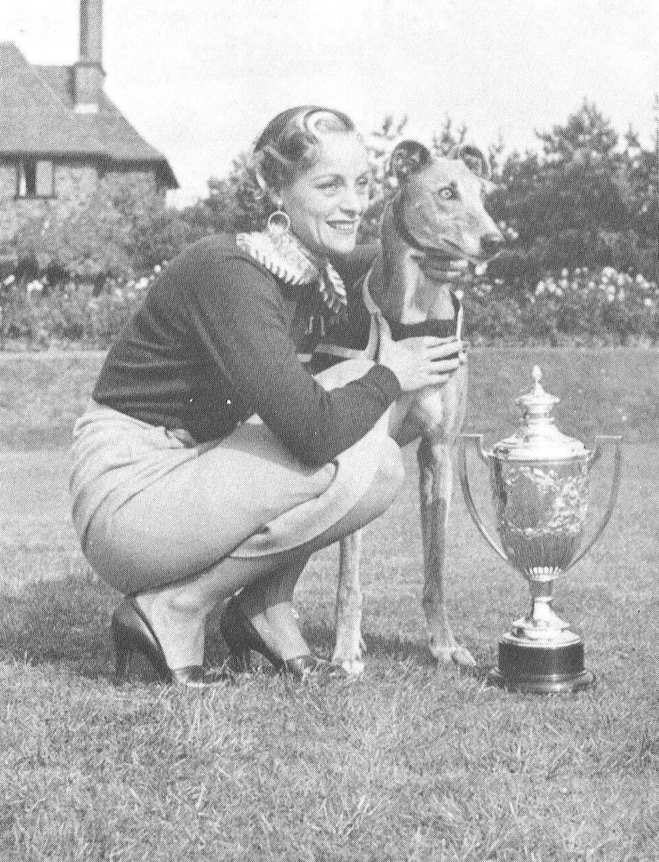 Greyhound — photo de la race de chien originaire de Royaume-Uni (4)