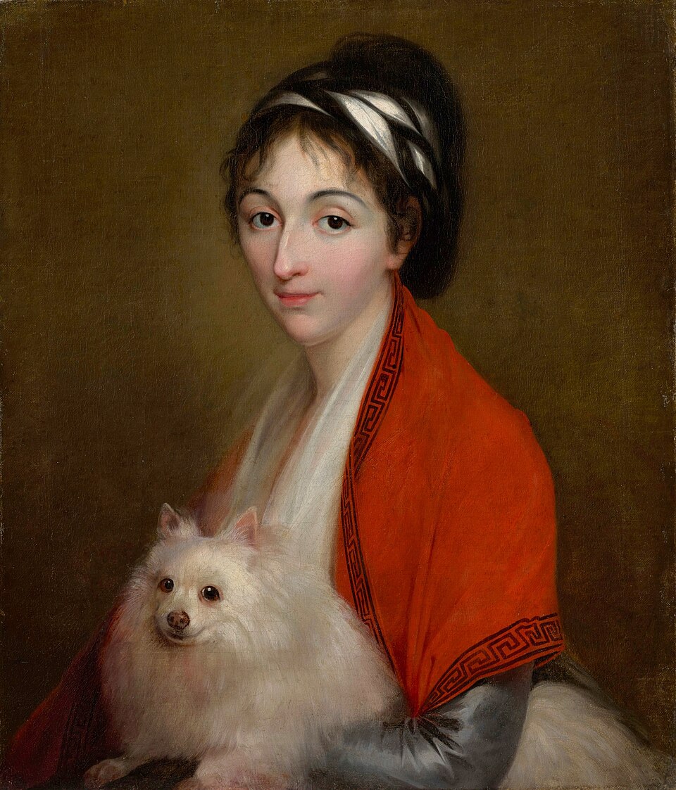 Spitz allemand — photo de la race de chien originaire de Allemagne (1)