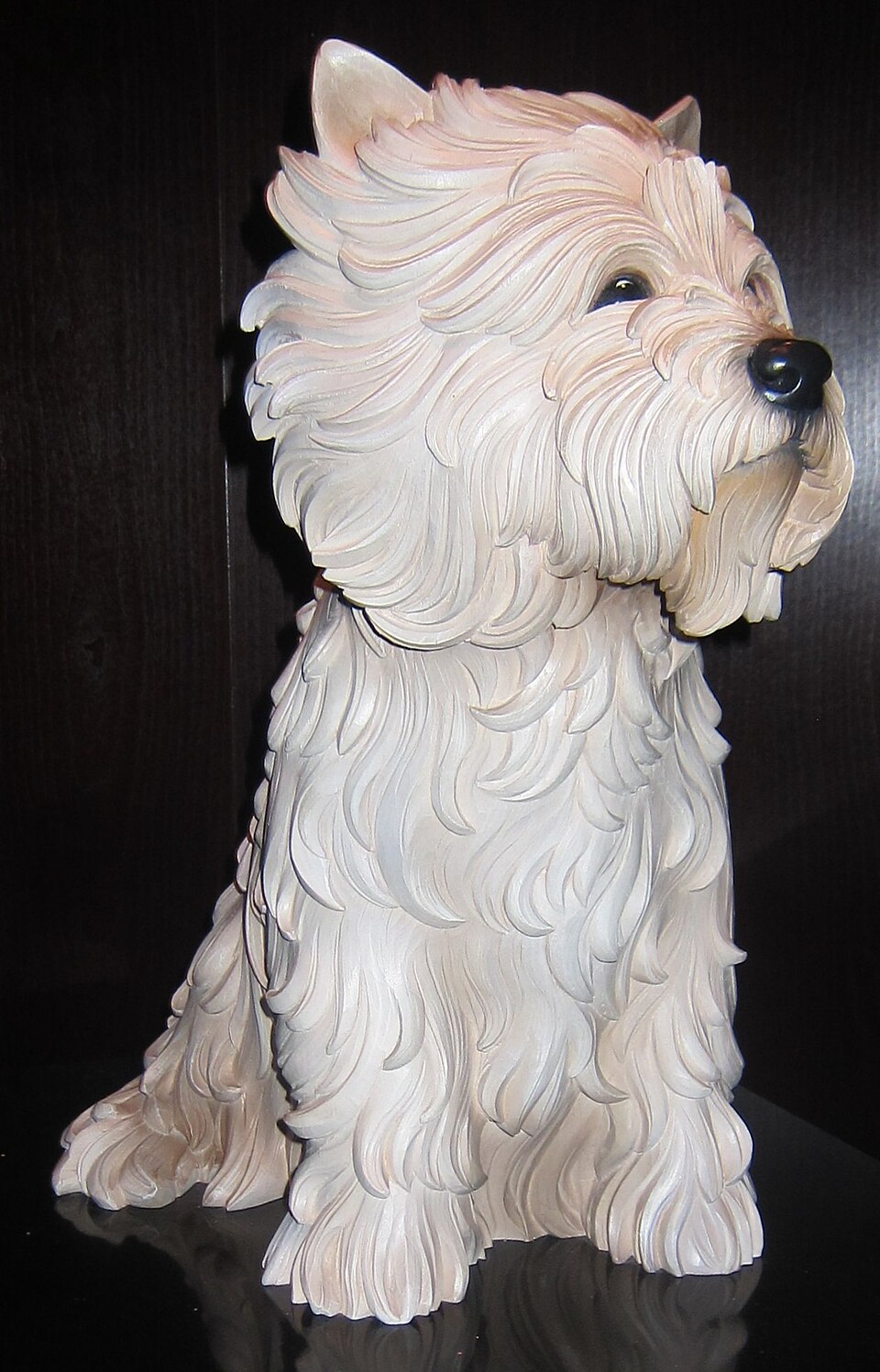 Westie — photo de la race de chien originaire de Écosse (2)
