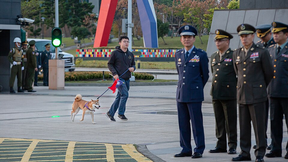 Shiba Inu — photo de la race de chien originaire de Japon (1)