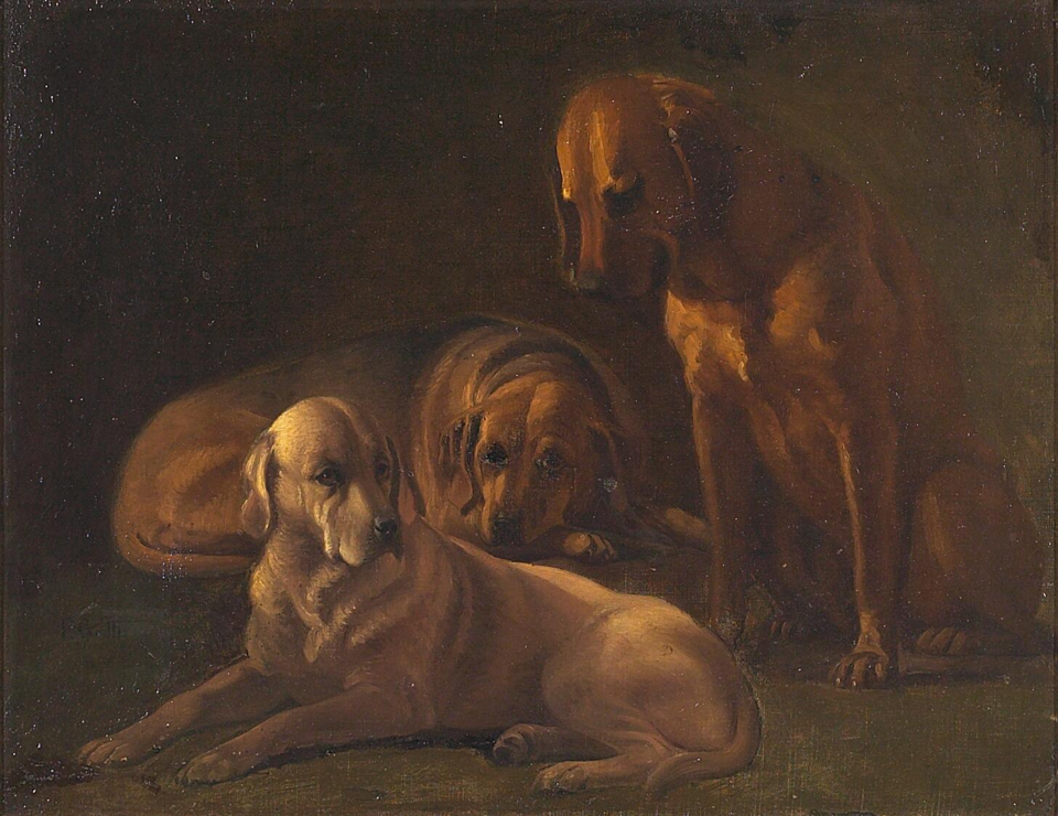 Broholmer — photo de la race de chien originaire de Danemark (2)