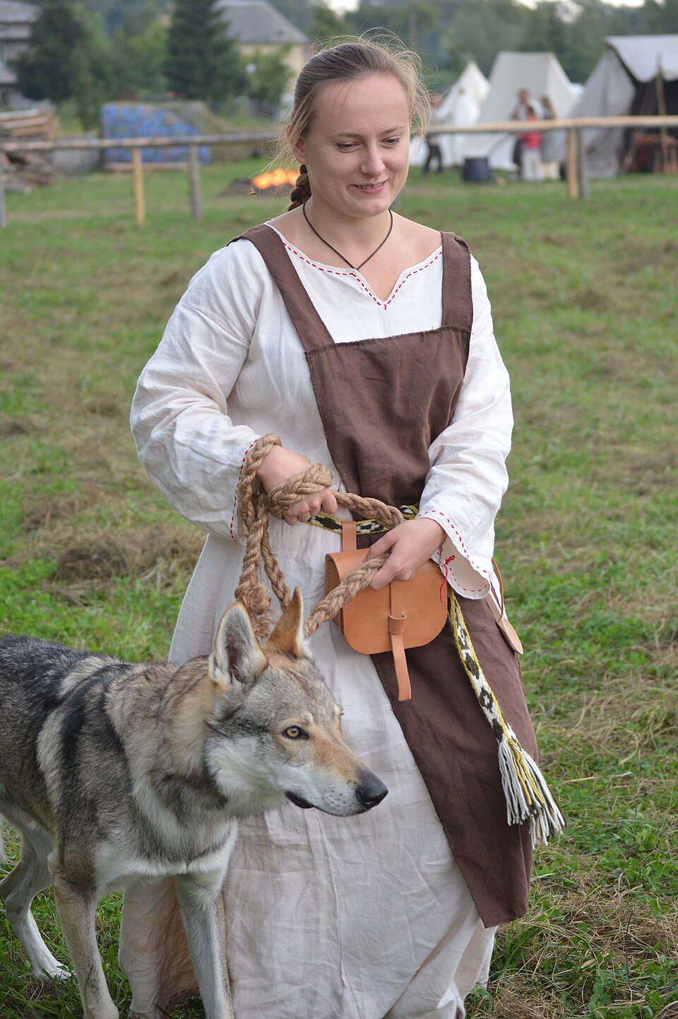 Chien-loup Tchèque — photo de la race de chien originaire de Tchécoslovaquie (1)