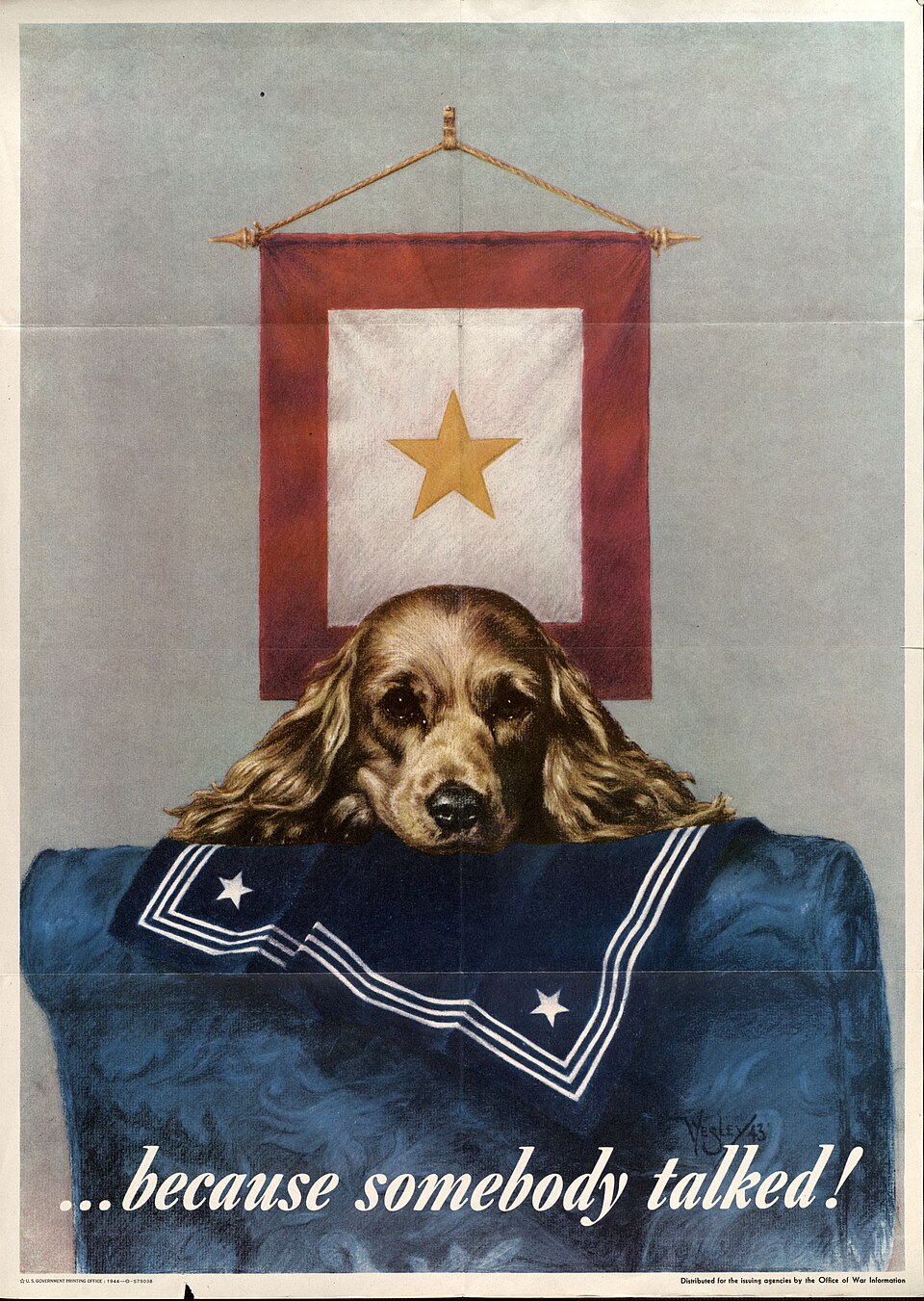 Cocker américain — photo de la race de chien originaire de États-Unis (2)