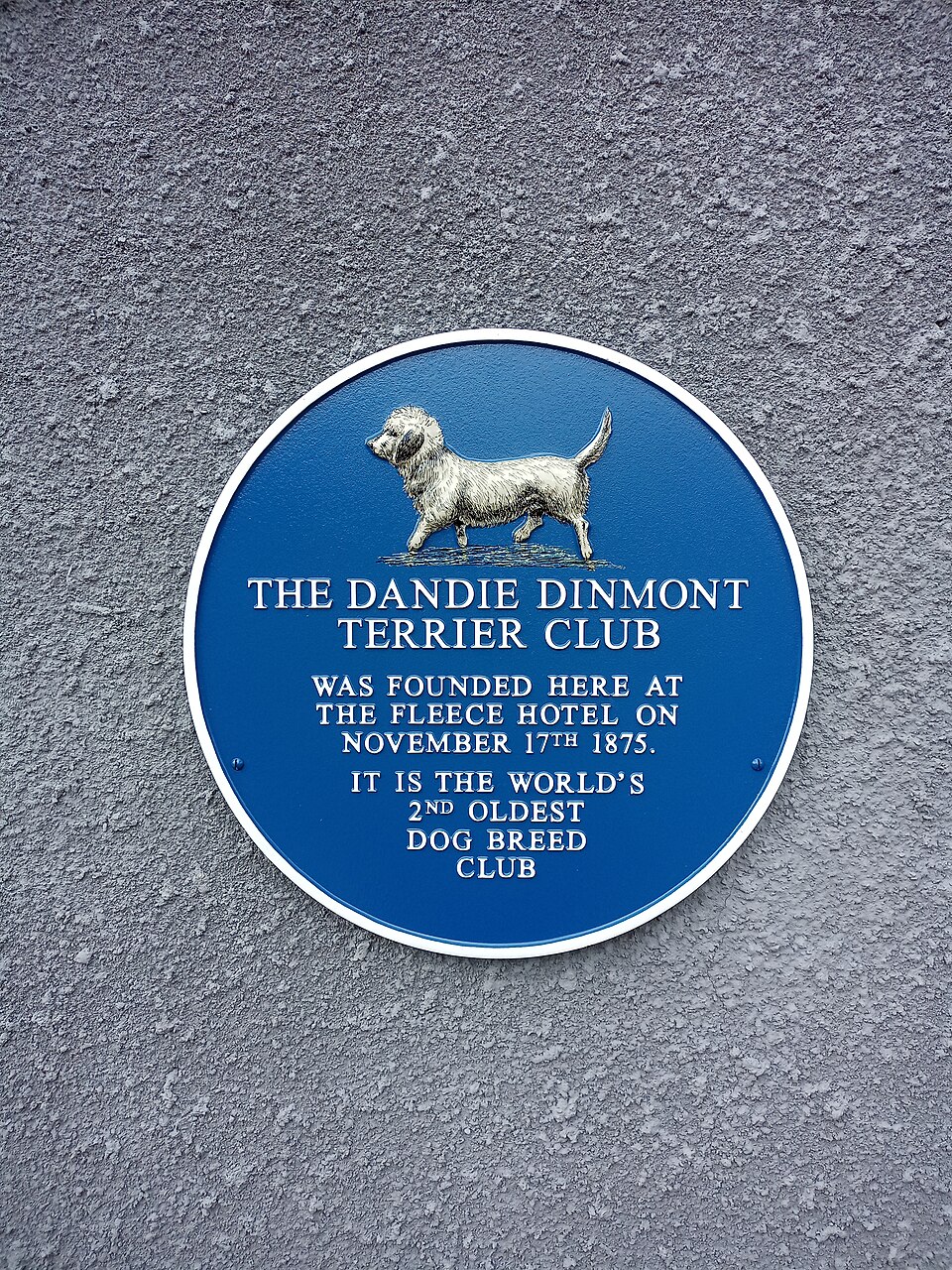 Dandie Dinmont Terrier — photo de la race de chien originaire de Écosse (2)